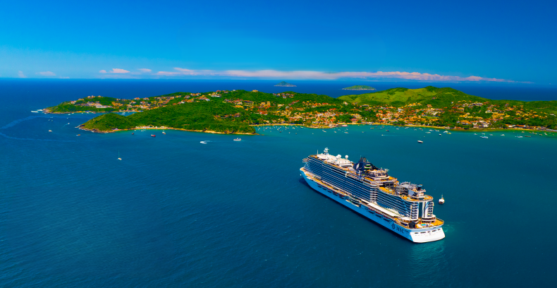 Navio Cruzeiros Temáticos | Imagem: divulgação